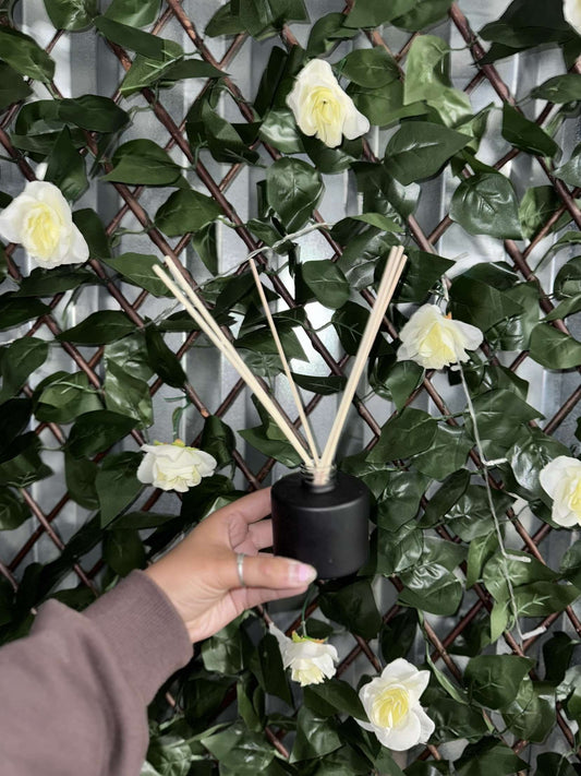 100ml reed diffuser