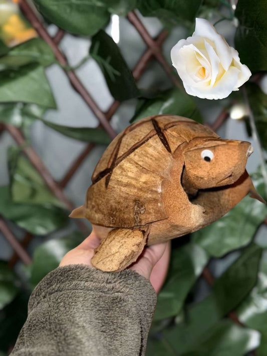 Tor Tissue the nodding tortoise